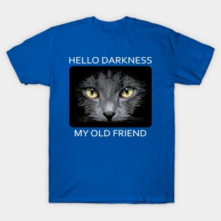 Hello Darkness My Old Friend 1 T-Shirt